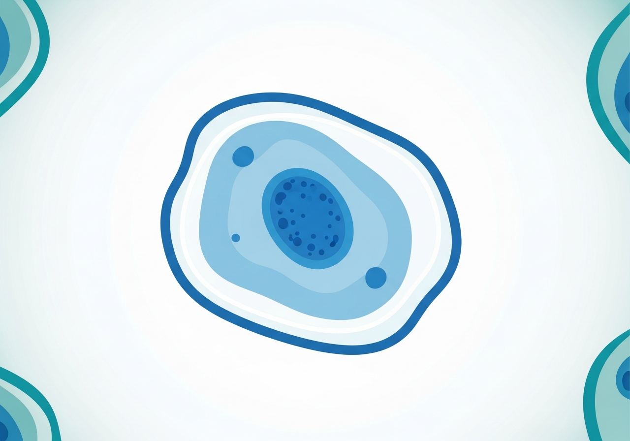 Acute Lymphoblastic Leukemia (ALL) Explained — educational medical diagram